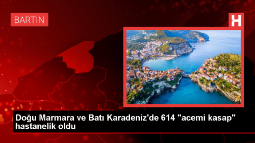 Dou Marmara ve Bat Karadeniz'de Kurban Kesimi Srasnda Yaralanan 614 Kii