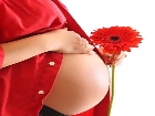 Do�um Kontrol�nde Do�all�k D�nemi Ba�l�yor�