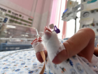 Doktora Gtrlen 1.5 Yandaki Bebein Ergenlie Girdii Ortaya kt