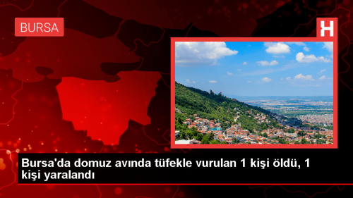 Domuz avnda tfekle ate edilmesi sonucu bir kii ld