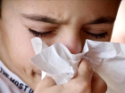 Domuz gribi bulac m? H1N1 domuz gribi nedir, belirtilieri neler?