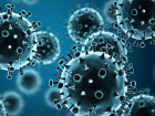 Domuz gribi nedir? Domuz gribi belirtileri neler? H1N1 gribi tedavisi