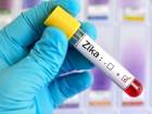 Ds�'den Asya-Pasifik'te Zika Uyar�s�