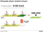 D�nya Uyu�turucu Kullan�m� ve Ka�ak��l��� ile M�cadele G�n�: BM'den 'Opioid K�resel Salg�na...