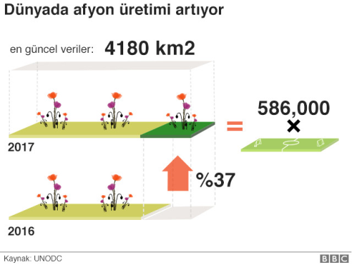 Dnya Uyuturucu Kullanm ve Kaakl ile Mcadele Gn: BM'den 'Opioid Kresel Salgna...