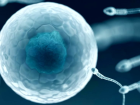 D�nyan�n ilk HIV-pozitif sperm bankas� Yeni Zelanda'da a��ld�