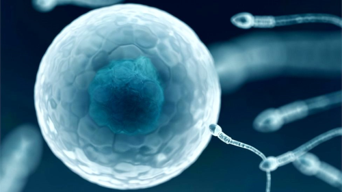 Dnyann ilk HIV-pozitif sperm bankas Yeni Zelanda'da ald