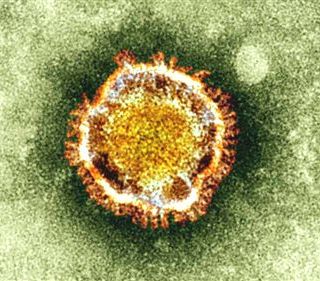 D�nyan�n Yeni Kabusu Kap�da