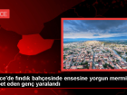 D�zce'de F�nd�k Bah�esinde Gen� Yaraland�