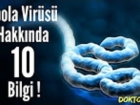 Ebola Vir�s� Hakk�nda 10 Bilgi !