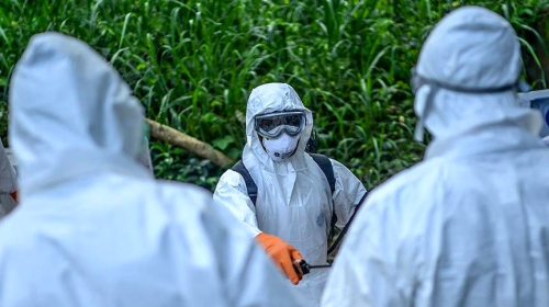 Ebola virs nedir? Ebola virs nasl bular? Ebola belirtileri ve ebola tedavi yntemleri nelerdir?