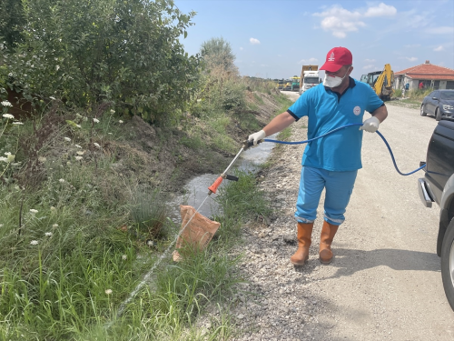 Edirne'de Sivrisinek lalama almalar Devam Ediyor
