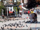 Edirne'de vaka say�lar� tek hanelere d��t�, il�elerde vaka rastlan�lmad�