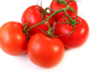 Eko Food, Domatesin Ömrünü 90 Gün Uzatacak