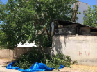 Elaz��'da Dut Silkelerken A�a� Dal�n�n K�r�lmas� Sonucu Yaralanan Adam Hayat�n� Kaybetti