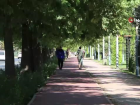Elaz��'da vatanda�lar koronavir�s tedbirlerini unuttu, maskeler �ene alt�na indi