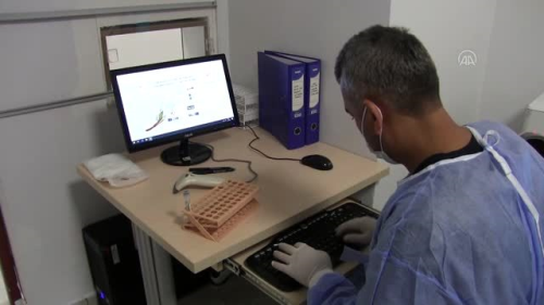 Elbistan'da Kovid-19 testleri iin PCR laboratuvar kuruldu