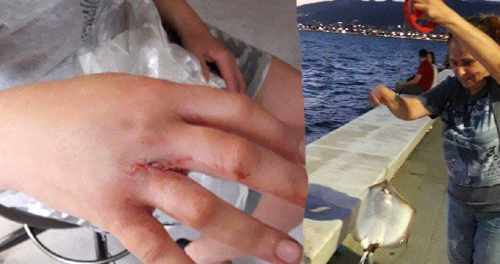 Emanet Ald Oltaya neli Vatoz Takld, Eliyle Denize Atmak sterken lmden Dnd