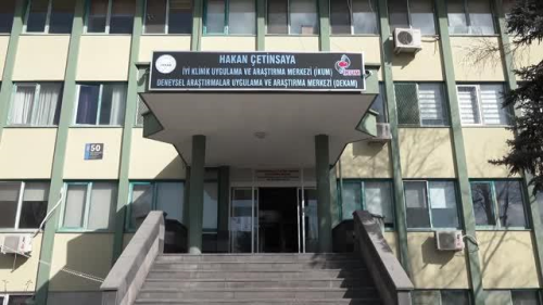 Ann ilk dozlar gnlllere uygulanmaya baland