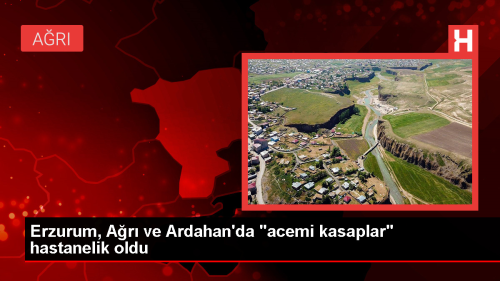 Erzurum, Ar ve Ardahan'da Kurban Kesimi Srasnda Yaralanan Vatandalar Hastanelere Bavurdu