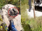 Erzurum'da i�me suyu deposunda fare �l�leri ��kt�