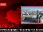 Erzurum'da sa�l�k �al��anlar� fidanlar� toprakla bulu�turdu