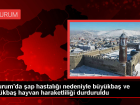 Erzurum'da �ap Hastal��� Nedeniyle Hayvan Pazarlar� Kapat�ld�