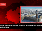 Erzurum'da Zehirli Mantarlar Nedeniyle Yo�unluk