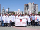 Eski�ehir Bilecik B�lgesi Veteriner Hekimler Odas�: 