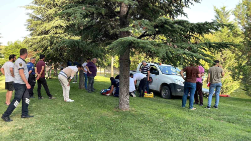Eskiehir'de Porsuk ay'nda boulma tehlikesi geiren gen hayata dnd