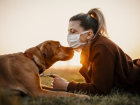 Evcil Hayvanlar pandemiden kurtulmamıza yardımcı oluyor