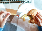 Fast-Food Yemek Kad�n Do�urganl���n� Olumsuz Etkiliyor