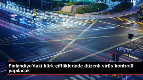 Finlandiya'daki krk iftliklerinde ku gribi vakalar nedeniyle dzenli virs kontrol yaplacak