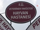 F�rat �niversitesi Hayvan Hastanesi'nde 5 ayda 3 bin hayvan tedavi edildi