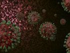 Gastroenterit nedir? Gastroenterit enfeksiyon nedir? Gastroenterit neden olur, tedavisi ne?