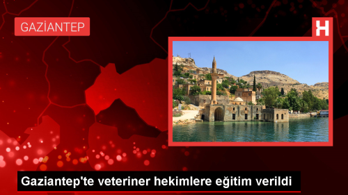 Gaziantep'te 300 veteriner hekime eitim verildi