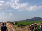 Gaziantep'te Kaybolan 2,5 Ya��ndaki Meryem Tarlada Bulundu