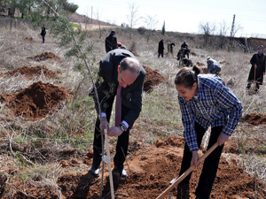 Gaziantep Romatoloji Blm'nden rnek Proje; Romatoloji Orman