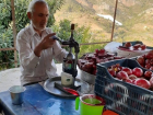Gazipa�a'da Dikensiz ve �ekirdeksiz Nar Hasad� Ba�lad�