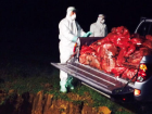 Gebze'de 10 Bin Tavuk Gece Yar�s� �tlaf Edildi