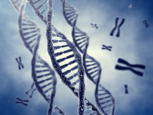 Genetik potansiyelini DNAFit ile kefet