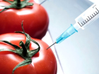 G�da kanunu tasar�s� nedir? G�da Kanunu var m�? G�da mevzuat�nda neler yer al�yor?