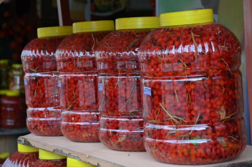 Gilaboru'ya Olan lgi Artt
