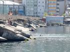 Giresun'da Deniz Suyu Temiz kt
