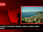 Giresun'da ormanda mahsur kalan kadn kurtarld