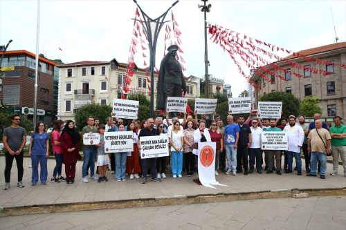 Giresun'da Veteriner Hekimler iddete Tepki Gsterdi