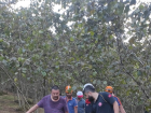 Giresun'da yama�tan yuvarlanan �ocuk yaraland�