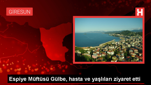 Giresun Mfts Osman Glbe, hasta ve yallar evlerinde ziyaret etti