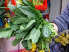 Giresun Sa�l�k �l M�d�r� Muhammet Bulut: 