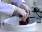 Giri�imci kad�n probiyotik aktivitesi artt�r�lm�� meyveli yo�urt �retti